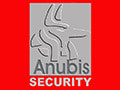Anubis security