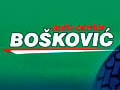 Auto servis Bošković