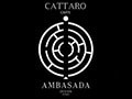 Caffe Cattaro