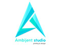 Ambijent Studio