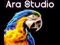 ARA studio