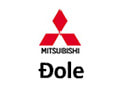 Mitsubishi auto servis Djole