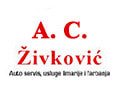 Toyota servis Živković