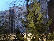 Holistički salon Detelina