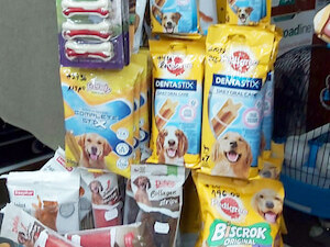 Veterinar Tim pet shop
