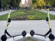 BEES SCOOTERS