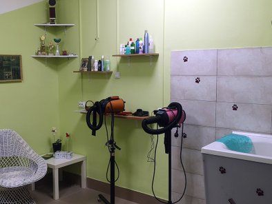 Inna salon za šišanje i negu pasa