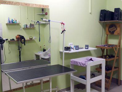 Inna salon za šišanje i negu pasa