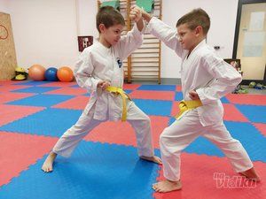 karate-skola-7bb8fe-1.jpg