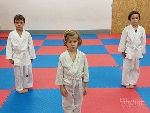 karate-skola-7bb8fe-5.jpg