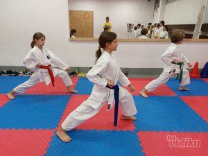 karate-skola-7bb8fe-8.jpg