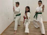 takmicarska-skola-za-karate-7c2976.jpg