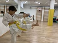 takmicarska-skola-za-karate-7c2976-2.jpg