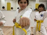 takmicarska-skola-za-karate-7c2976-3.jpg