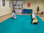 treninzi-karatea-17f68e.jpg