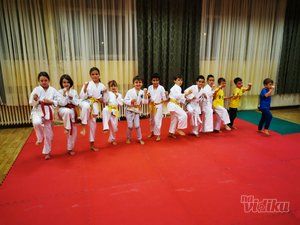 treninzi-karatea-17f68e-4.jpg