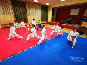 treninzi-karatea-8e1825-1.jpg