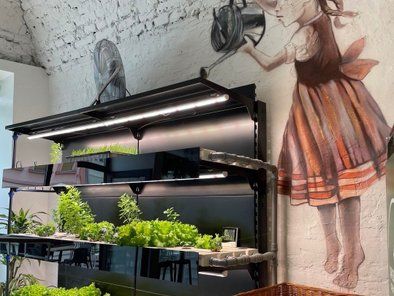 Sweet & Green restoran sa salatom