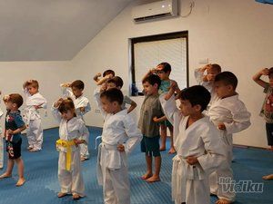 karate-smiley-skolica-sporta-752d8b-9.jpg