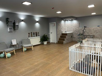 Salon za šišanje pasa YoPet