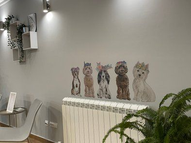 Salon za šišanje pasa YoPet
