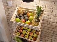 Garden Juice bar