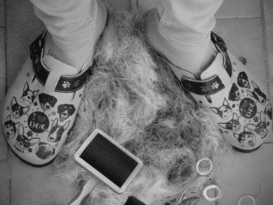 Studio Leni grooming škola