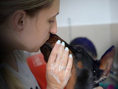Studio Leni grooming škola