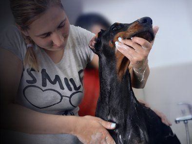 Studio Leni grooming
