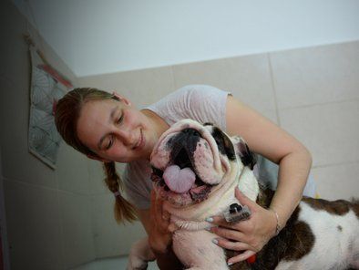Studio Leni grooming