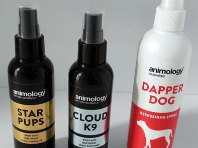 A-Z Vet veterinarska apoteka i pet shop