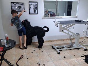 Happy Puppy grooming by Jelena