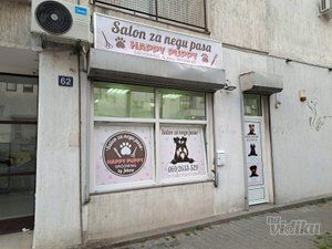 Happy Puppy grooming by Jelena