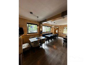 Hedonist space