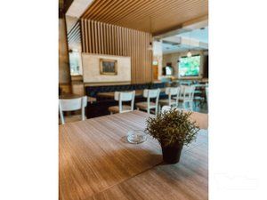 Hedonist space