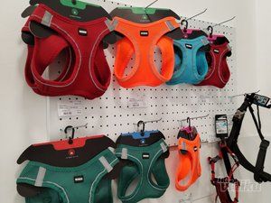 Park pet shop