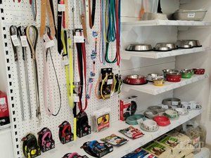 Park pet shop