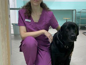 Stellavet veterinarska ambulanta