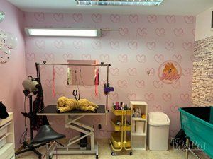 Lola Grooming Spa salon za pse