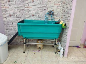 Lola Grooming Spa salon za pse
