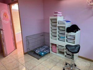 Lola Grooming Spa salon za pse