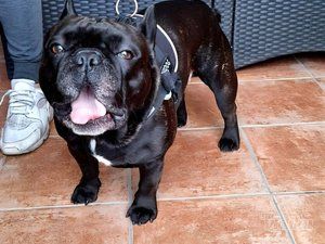 Vet for 5 Veterinarska ambulanta