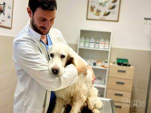 Vet for 5 Veterinarska ambulanta