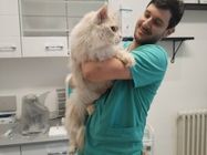 Vet for 5 Veterinarska ambulanta