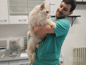 Vet for 5 Veterinarska ambulanta