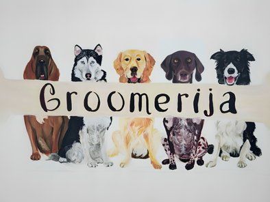Groomerija Salon za pse