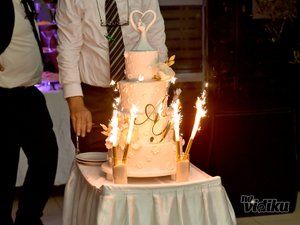 La Foresta open concept