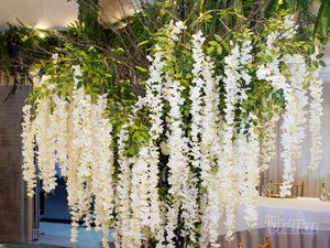 La Foresta open concept