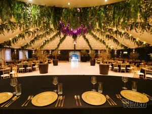 La Foresta open concept