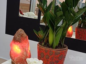 Petariana Beauty Studio antiage studio